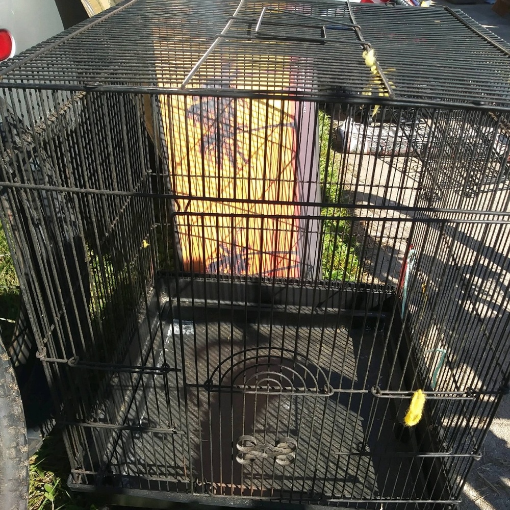 bird cage